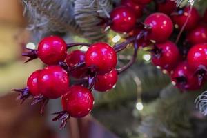 close up of artificial red winter berries for christmas decoration photo