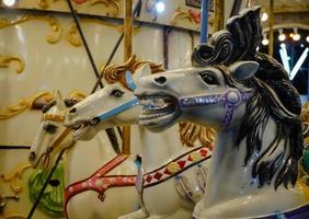 image of horse swing in fair. photo