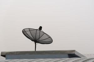 Satellite dish on the house roof photo