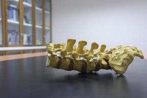 modelo de columna lumbar sobre la mesa en el consultorio médico foto