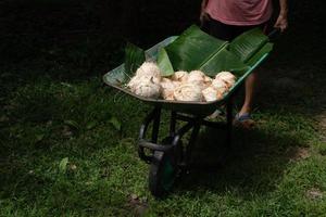 A woman pushing a cart with peeled coconuts photo