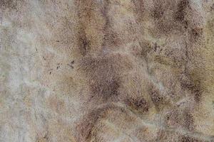 deer skin background texture, seamless pattern for design photo
