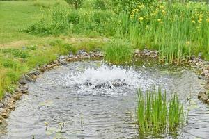 Decorative pond and fountain with splashing water, grass and flowers photo