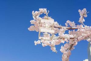 White decorative bird cage hanging on branch of blooming apple tree on sky background. Spring city decoration photo