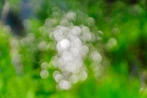 Bokeh abstract texture. Beautiful christmas background in green colors. Defocused photo