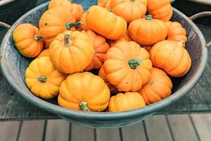 Small orange pumpkins in metall basket. Rustic style. Stall at Farmers market. photo