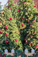 Christmas and New Year holidays background. Christmas trees decorated with balls and garlands in a row outdoors photo