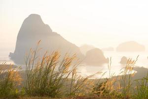 Mission grasses and morning light at Samet-Nang-She view point photo