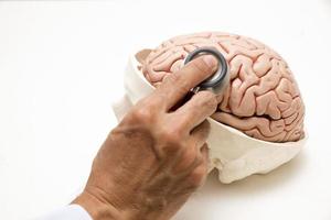 Brain model and stethoscope on whitye background photo