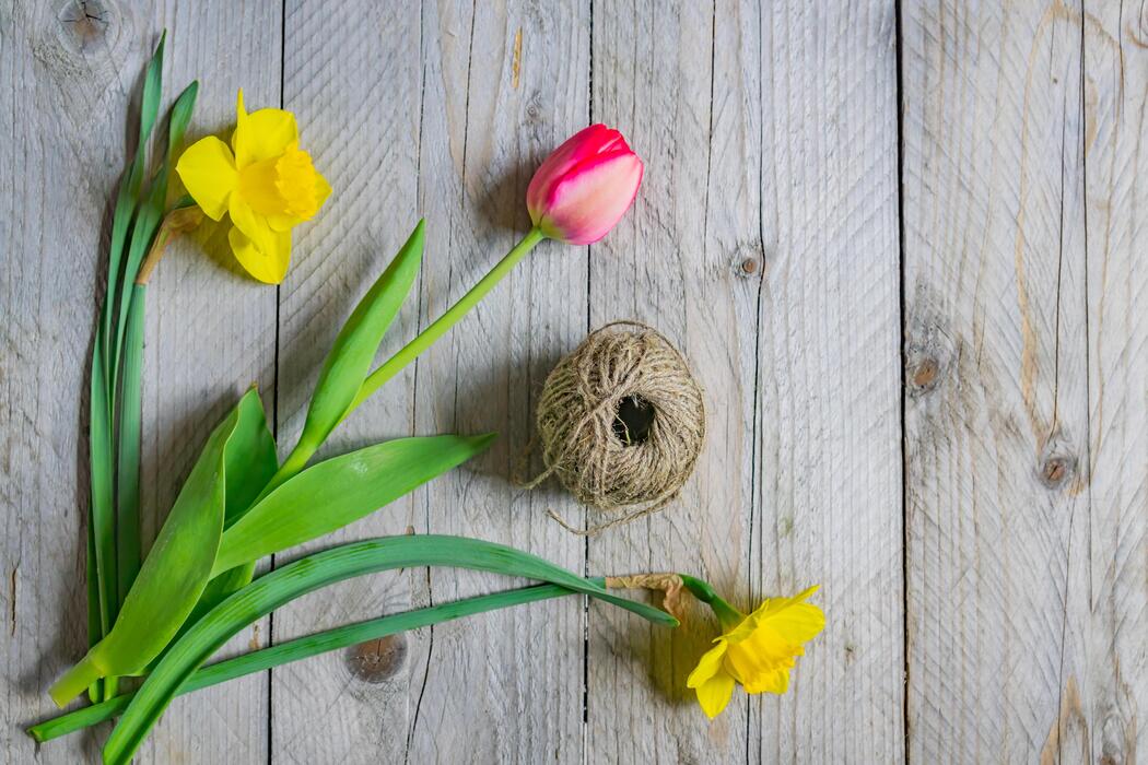Spring Objects Stock Photos, Images and Backgrounds for Free Download