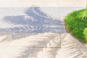 Shadows of palm leaves on the pavement. photo