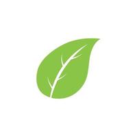 logotipos de vector de elemento de naturaleza de ecología de hoja de árbol verde