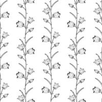 Vector seamless pattern with hand drawn doodle bellflower. Vector wildflower in realistic style. Campanula sketch background. Outline. Floral Wallpaper.