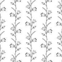 Vector seamless pattern with hand drawn doodle bellflower. Vector wildflower in realistic style. Campanula sketch background. Outline. Floral Wallpaper.