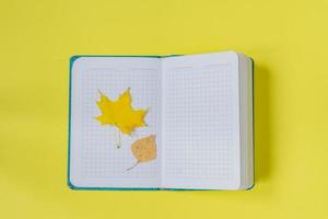 Blank open notebook with maple and birch leaves  on yellow background. Empty diary and autumn concept photo