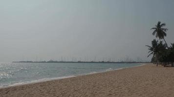 arena de playa y mar. playa de pattaya, que es uno de los lugares famosos del mar en tailandia. video