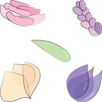 set of different cute flowers vector