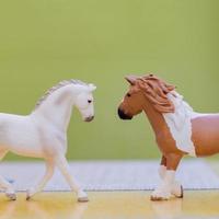 two plastic toy horses on wooden table, copy space for text photo