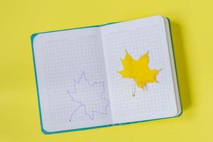 Blank open notebook with maple leaf  and drawing  on yellow background. Empty diary and autumn concept photo