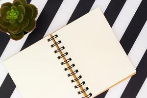 top view of open blank notebook and succulent on black and white striped background. Stylish minimalistic flat lay photo