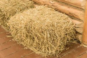 a stuck of hay used as seat indoors photo