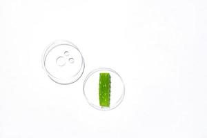 A petri dish on a white background with samples of a skin care product. Aloe vera leaf. Natural skin care cosmetics. photo