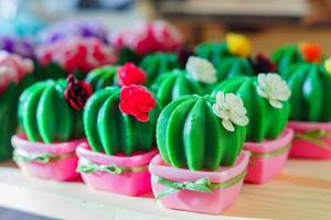 soap in shape of cacti in pink pots. photo