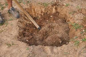The gardener makes a hole in the ground for planting trees photo