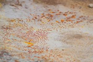 abstract rusty metal texture background photo