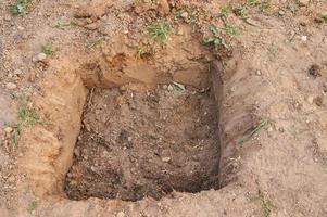 The gardener makes a hole in the ground for planting trees photo