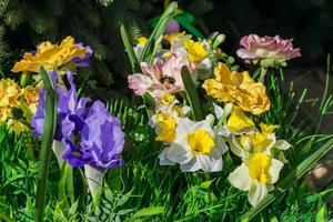 Colorful decoration by artificial flowers outdoors photo