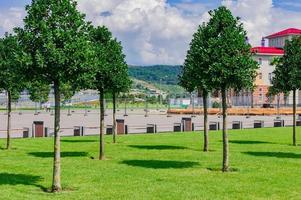 City park in Sochi in summer. photo