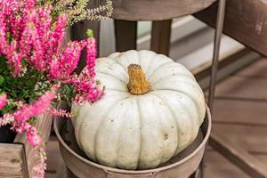 Close up og gray decorative pumpkin in metall basket. Harvest festival or farmers market photo