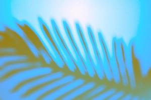 Top view of tropical cocnut palm leaf shadow on duochrome blue background. Flat lay. Summer concept with palm tree leaf, copyspace photo