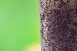 close up of glass of rye kvas on green background. Traditional russian drink with bubbles photo