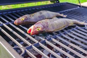 Grilled fresh fish. Cooking BBQ seafood on fire outdoors. photo