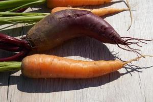 Freshly harvested homegrown organic beetroot and carrot on wooden table. photo