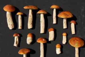 Orange cap boletus Mushrooms in a row on dark background. Nature, environment and edible mushrooms concept with copy space. Top view, flat lay photo