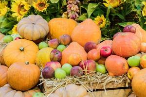 Autumn harvest - pumpkins and apples still life photo