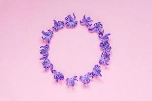 marco redondo de flores de jacinto púrpura pastel sobre fondo rosa degradado. guirnalda de flores. diseño para el saludo festivo del día de la madre, cumpleaños, boda u otro evento feliz foto
