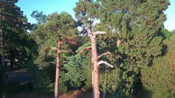 bella vista sul parco di Stockwood a luton, sul parco pubblico ad accesso gratuito e sul campo da golf a sud di luton, vicino allo svincolo autostradale di 10 m1. video