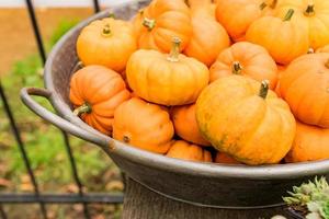 Small orange pumpkins in metall basket. Rustic style. Stall at Farmers market. photo