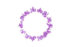 marco redondo de flores de jacinto púrpura pastel sobre fondo rosa degradado. guirnalda de flores. diseño para el saludo festivo del día de la madre, cumpleaños, boda u otro evento feliz foto