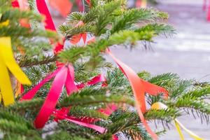 Christmas and new year decoration. Christmas tree and colorful ribbons photo