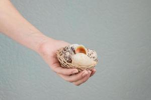 basket with different seashells in woman hand. photo