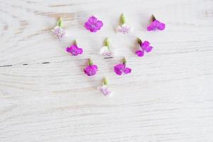 Chamaenerion flowers on white wooden background photo