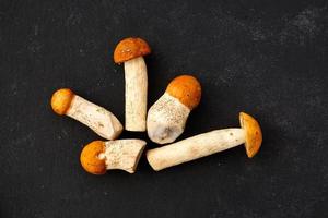 Orange cap boletus Mushrooms in a row on dark background. Nature, environment and edible mushrooms concept with copy space. Top view, flat lay photo