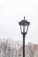 poste de luz en un parque de invierno, luz de calle negra vintage contra árboles y cielo foto