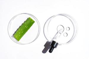 Natural cosmetic laboratory concept. Petri dishes with cosmetic gel of Aloe Vera plant, pipette dropper with serum on white background top view photo