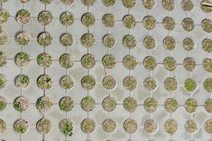 top view of concrete pavement with growing grass. Background texture photo